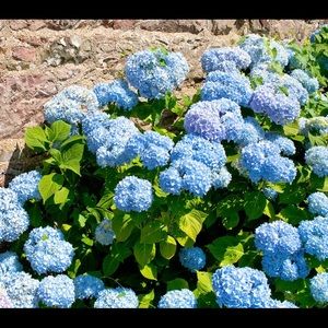 Meet your Posher, Cathy